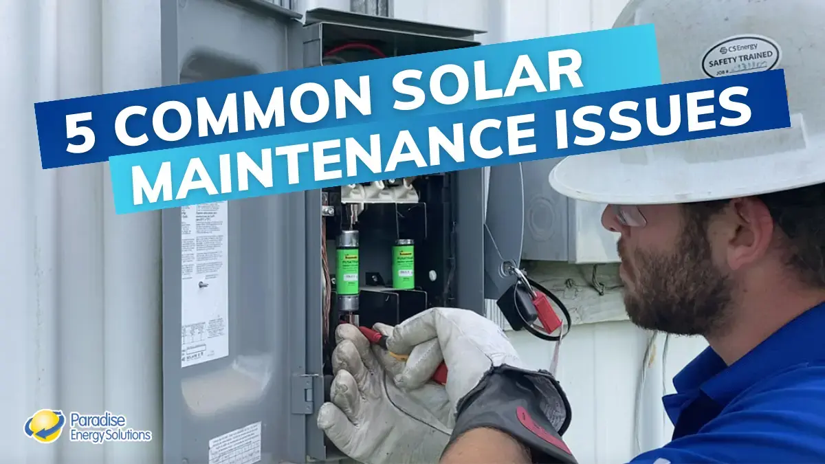 5 Common Solar Maintenance Issues Copy