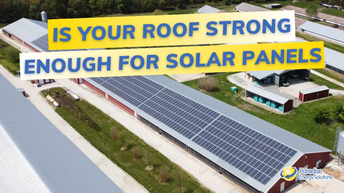 Is Your Poultry House Roof Strong Enough For Solar Panels Copy 1