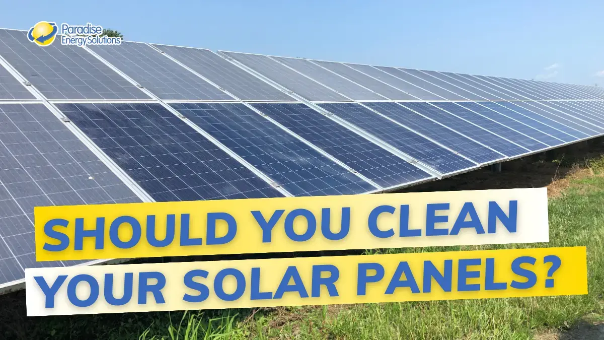 Should You Clean Your Solar Panels Copy